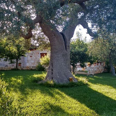Il Giardino Degli Ulivi Panzió Castellana Grotte Kültér fotó